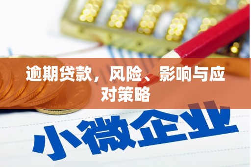 岢岚逾期贷款，风险、影响与应对策略
