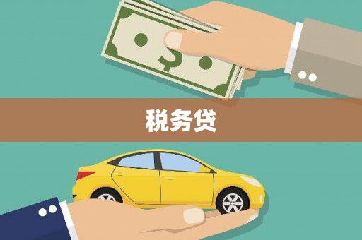 岢岚税务贷
