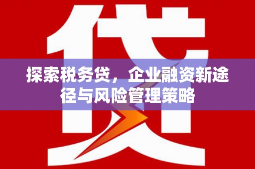 岢岚探索税务贷，企业融资新途径与风险管理策略