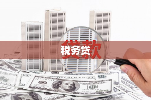 岢岚税务贷