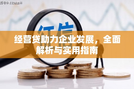 岢岚经营贷助力企业发展，全面解析与实用指南
