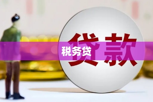 岢岚税务贷