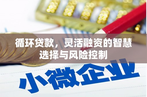 岢岚循环贷款，灵活融资的智慧选择与风险控制