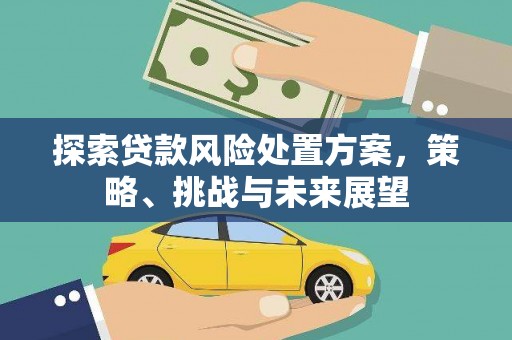 岢岚探索贷款风险处置方案，策略、挑战与未来展望