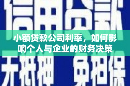 岢岚小额贷款公司利率，如何影响个人与企业的财务决策