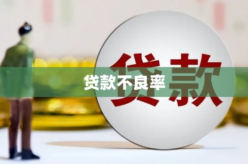 岢岚贷款不良率