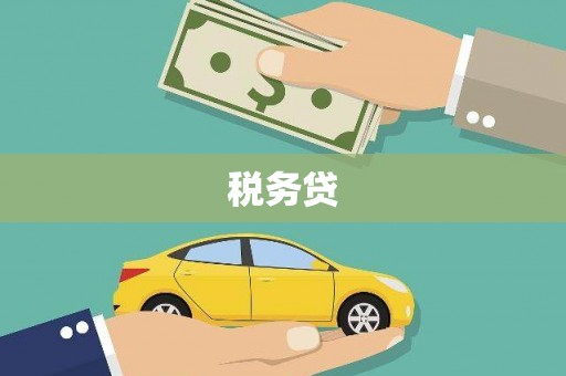 岢岚税务贷