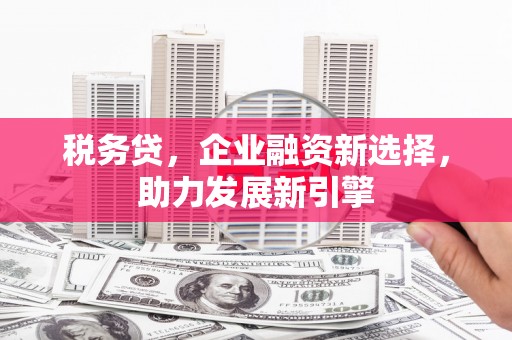 岢岚税务贷，企业融资新选择，助力发展新引擎