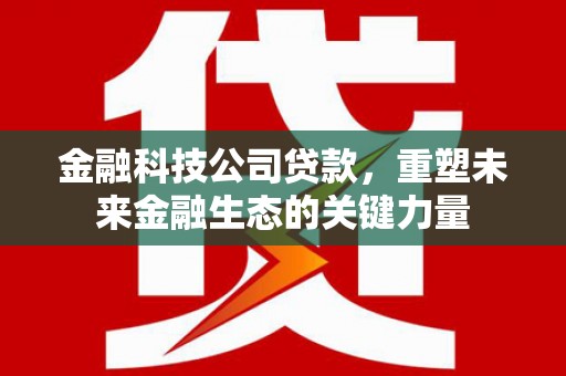 岢岚金融科技公司贷款，重塑未来金融生态的关键力量
