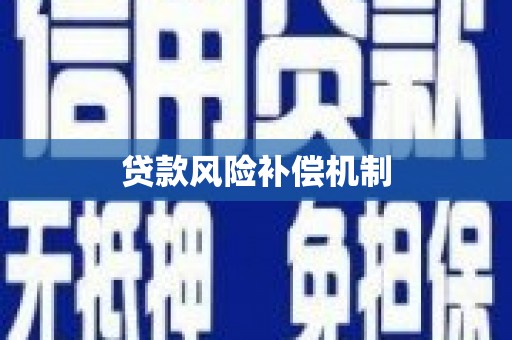 岢岚贷款风险补偿机制