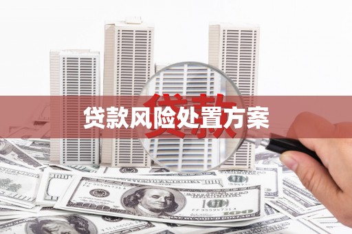 岢岚贷款风险处置方案