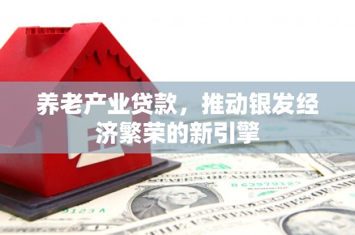 岢岚养老产业贷款，推动银发经济繁荣的新引擎