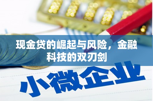 岢岚现金贷的崛起与风险，金融科技的双刃剑