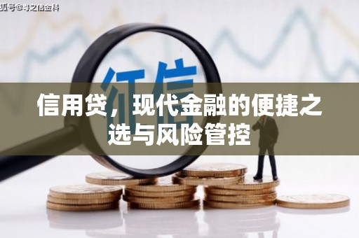 岢岚信用贷，现代金融的便捷之选与风险管控