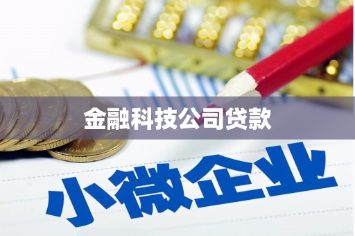 岢岚金融科技公司贷款