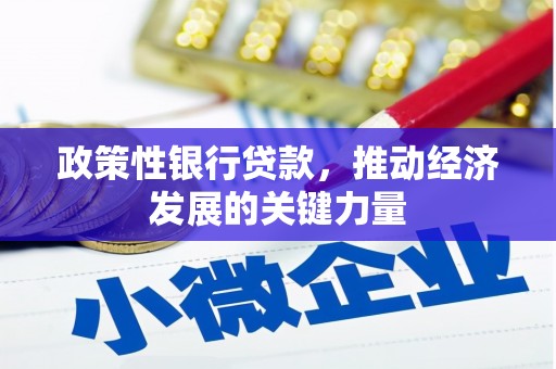 岢岚政策性银行贷款，推动经济发展的关键力量