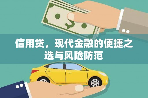 岢岚信用贷，现代金融的便捷之选与风险防范