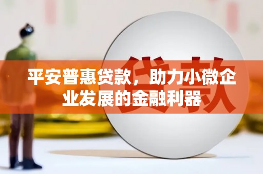 岢岚平安普惠贷款，助力小微企业发展的金融利器