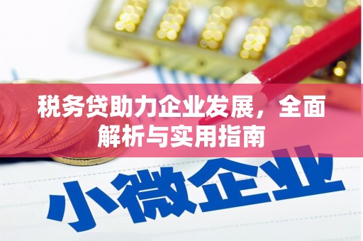 岢岚税务贷助力企业发展，全面解析与实用指南