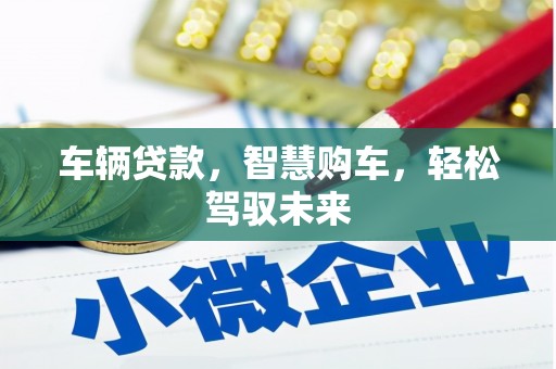 岢岚车辆贷款，智慧购车，轻松驾驭未来