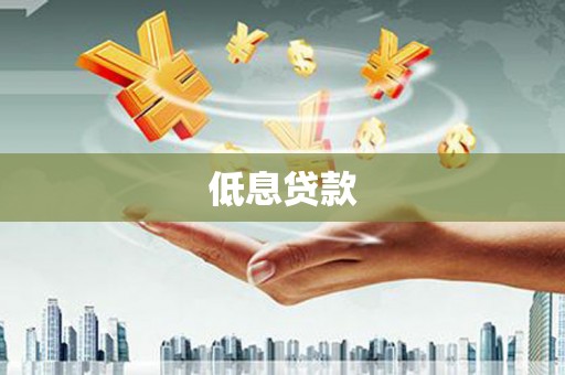 岢岚低息贷款