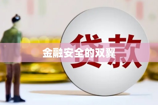 岢岚金融安全的双翼