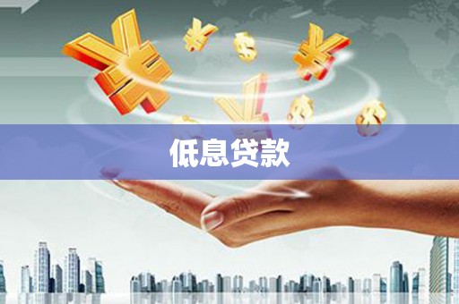 岢岚低息贷款