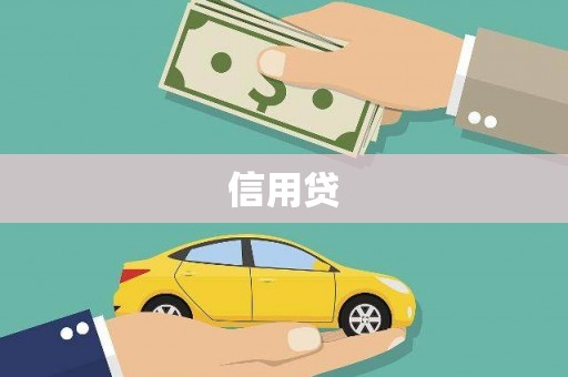 岢岚信用贷