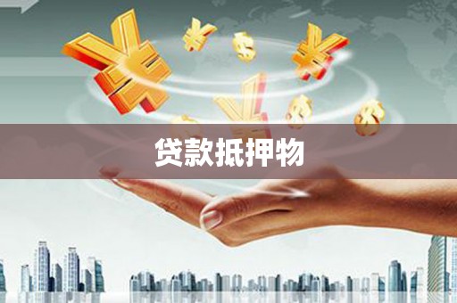岢岚贷款抵押物