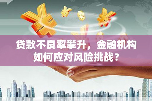 岢岚贷款不良率攀升，金融机构如何应对风险挑战？