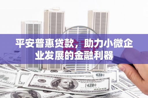 岢岚平安普惠贷款，助力小微企业发展的金融利器
