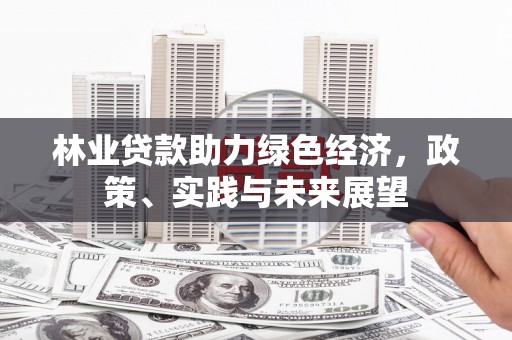 岢岚林业贷款助力绿色经济，政策、实践与未来展望