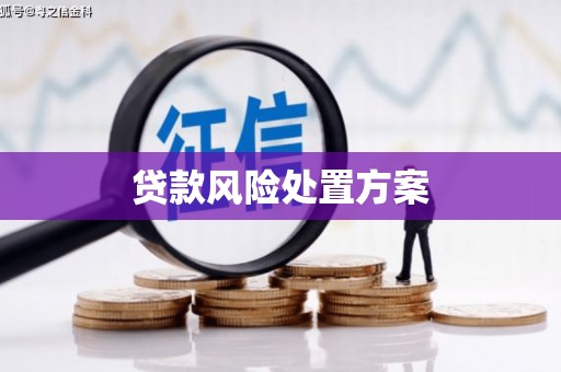 岢岚贷款风险处置方案