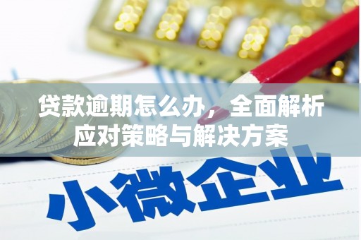 岢岚贷款逾期怎么办，全面解析应对策略与解决方案