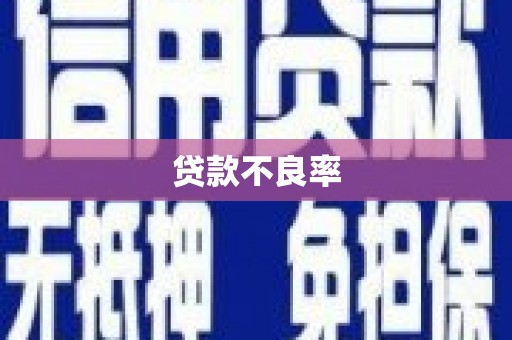 岢岚贷款不良率