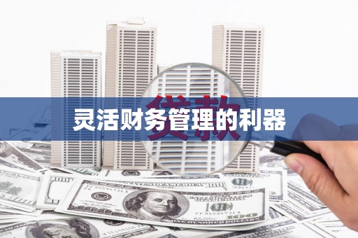 岢岚灵活财务管理的利器