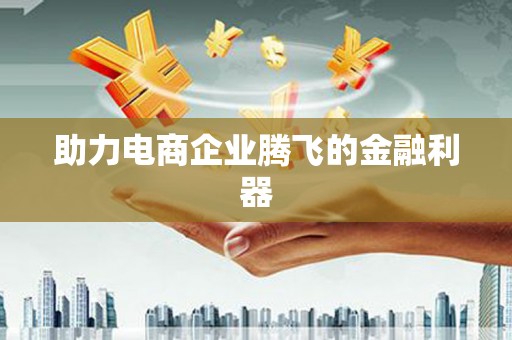 岢岚助力电商企业腾飞的金融利器