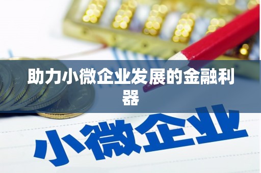 岢岚助力小微企业发展的金融利器