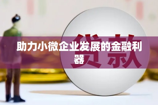 岢岚助力小微企业发展的金融利器