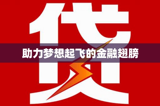 岢岚助力梦想起飞的金融翅膀