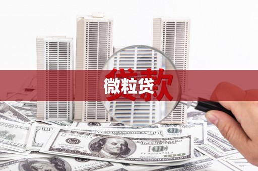岢岚微粒贷