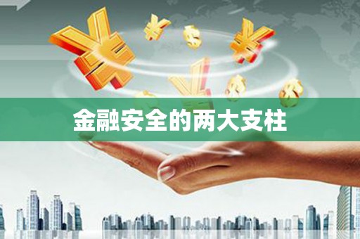 岢岚金融安全的两大支柱