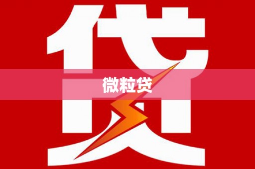 岢岚微粒贷
