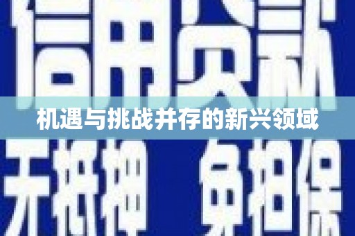 岢岚机遇与挑战并存的新兴领域