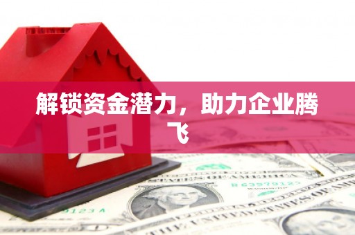 岢岚解锁资金潜力，助力企业腾飞