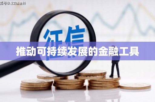岢岚推动可持续发展的金融工具