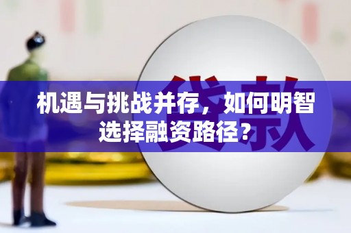 岢岚机遇与挑战并存，如何明智选择融资路径？