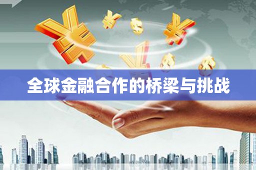 岢岚全球金融合作的桥梁与挑战