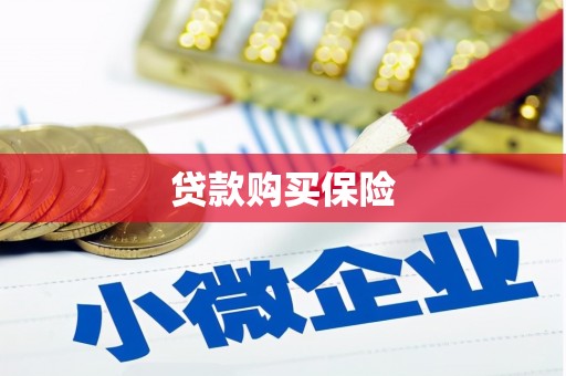 岢岚贷款购买保险