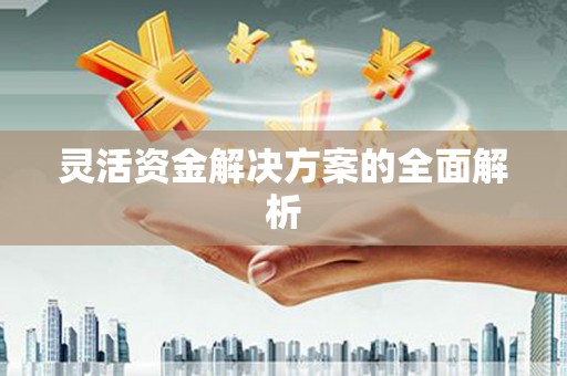 岢岚灵活资金解决方案的全面解析